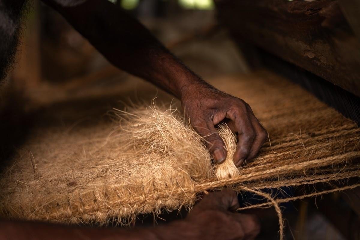 Journal Article — The Coconut Economy