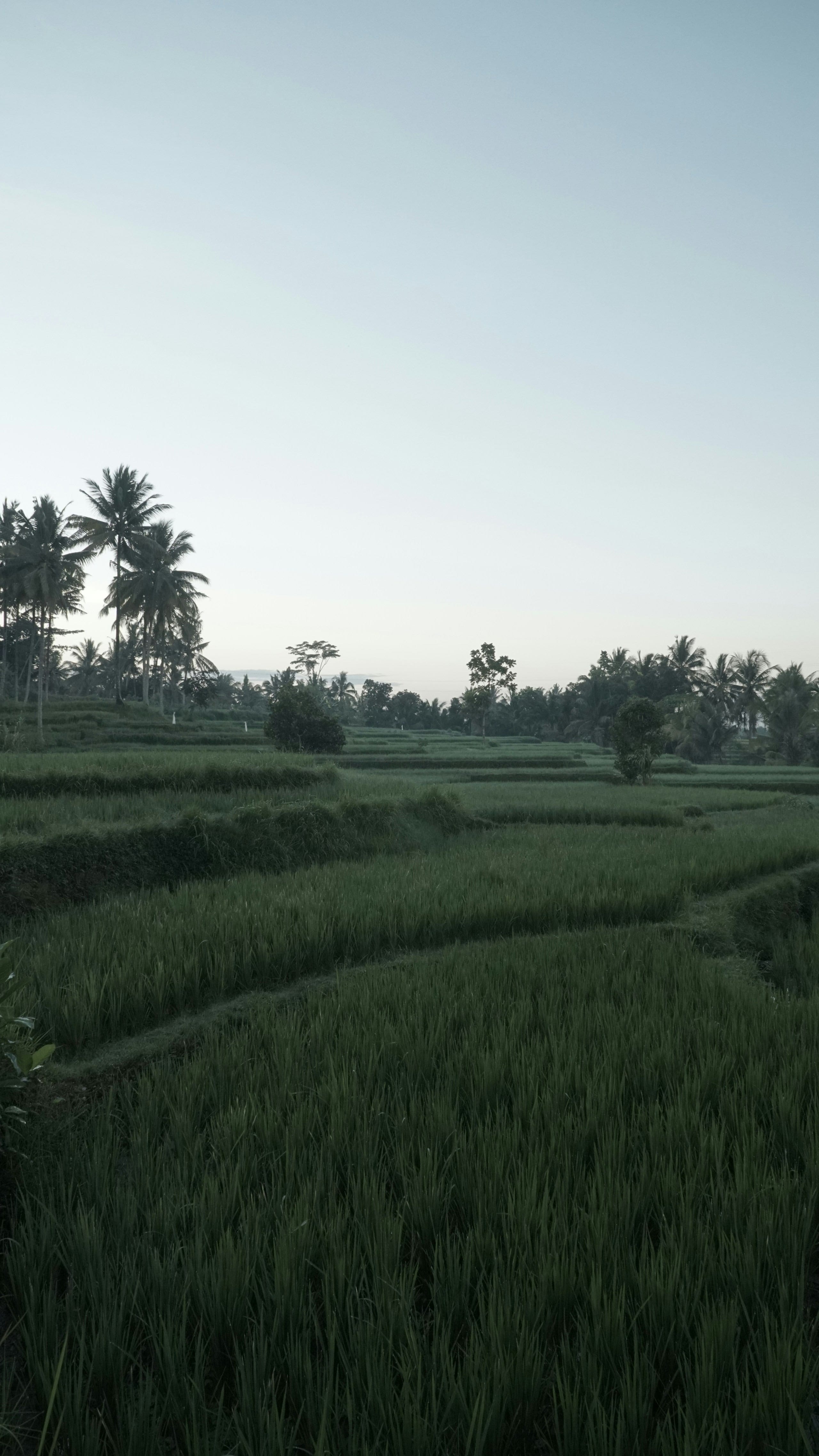 The Story & Context — From Ridge to Backwater