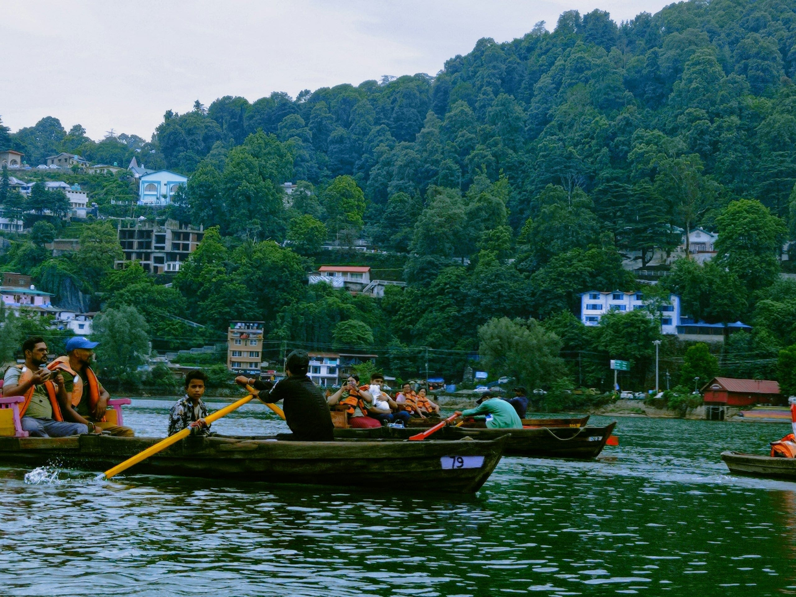 The Story & Context — The Cold Current and the Sal Forest