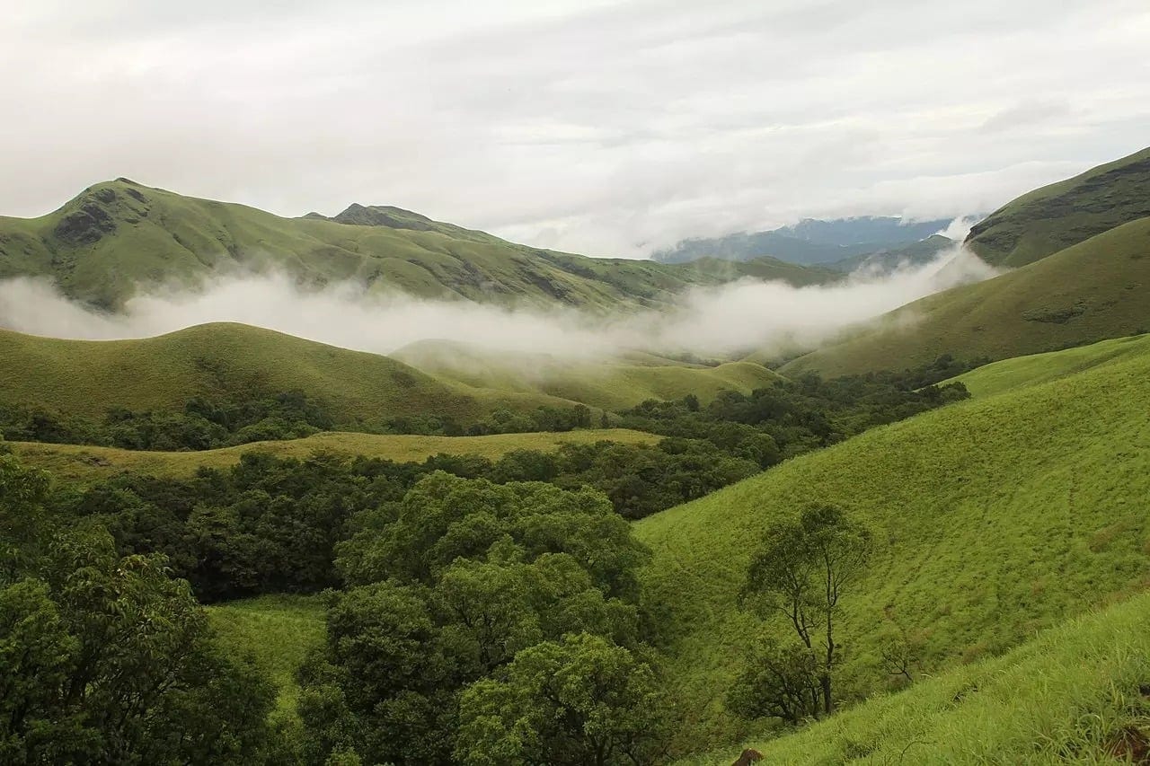 The Story & Context — Shola Grasslands and Cloud Forests